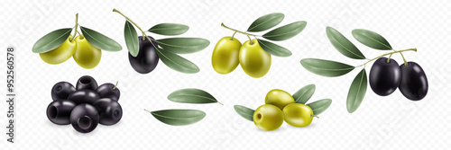 Realistic set of green and black olives, olive branch with green leaves. Isolated on transparent background. Elements for cosmetic, food, ads, oil design