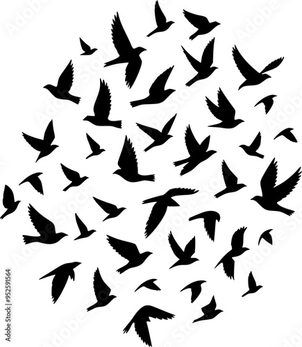 Clean Silhouette of a Flock of Birds in Flight for Minimalist Graphic Design