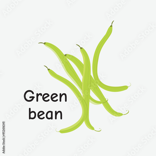 Green Bean Vector Illustration for Vegetarians