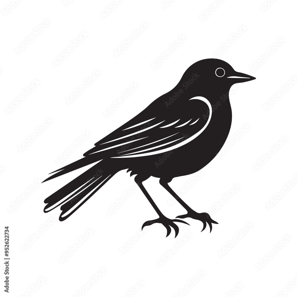 bird silhouette vector, isolated on white background, black and white silhouette, vector and illustration, silhouette style bird silhouette vector, isolated on white background, black and white silhouette, vector and illustration, silhouette style