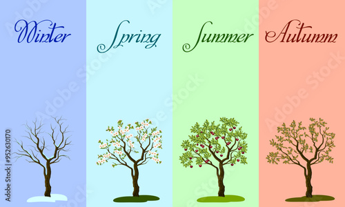 Four seasons in vector illustration.Vector color illustration of the four seasons on a white background.