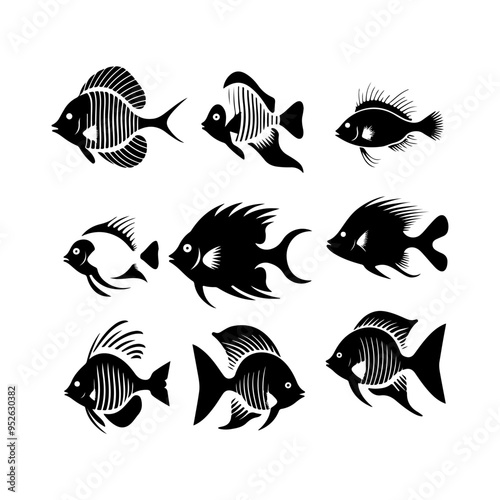 Angelfish silhouette black white vector