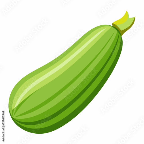 Art Nouveau Zucchini Vector on White Background