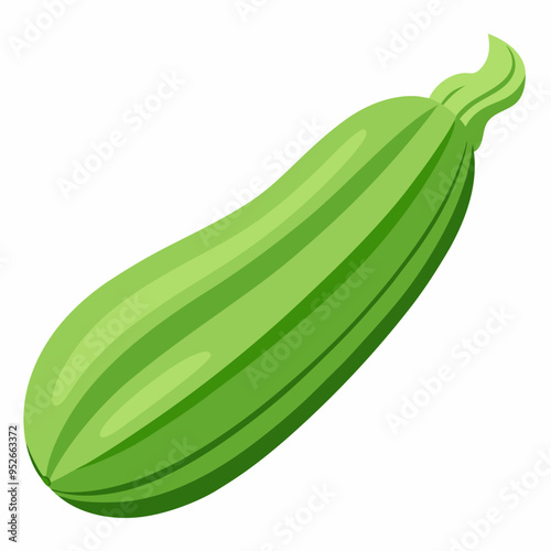 Art Nouveau Zucchini Vector on White Background