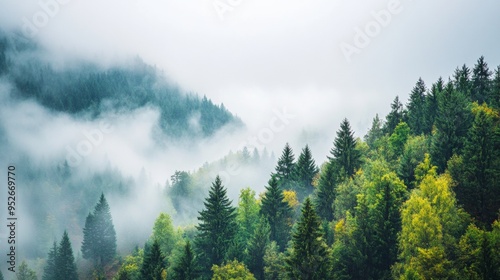 Fog rolling through a mountain pass foggy weather photo