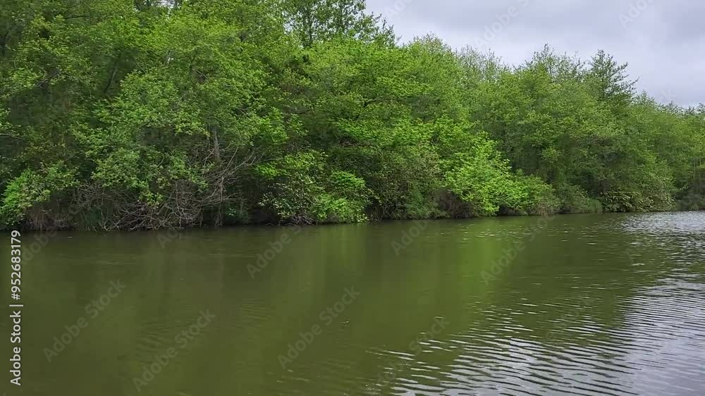 Traveling along a beautiful green river, green trees grow along the banks, slowly moving forward. Traveling along a beautiful green river, green trees grow along the banks, slowly moving forward.