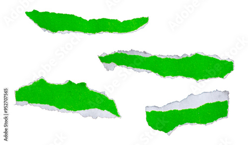 Ripped torn green paper pieces on transparent background, paper cut out design elements