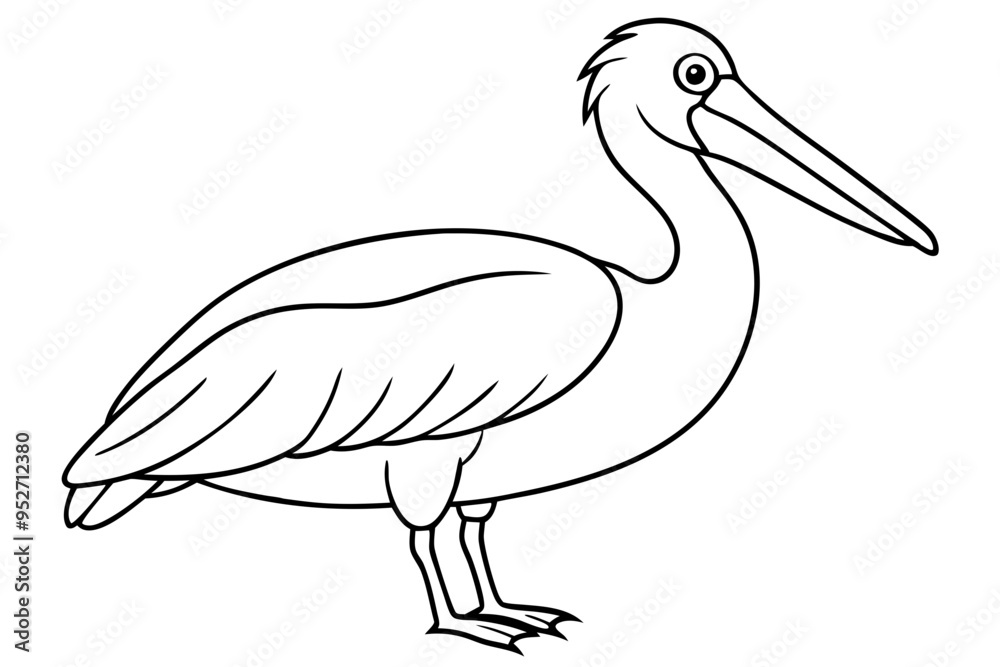 Fototapeta premium Pelican Line Art Vector Illustration