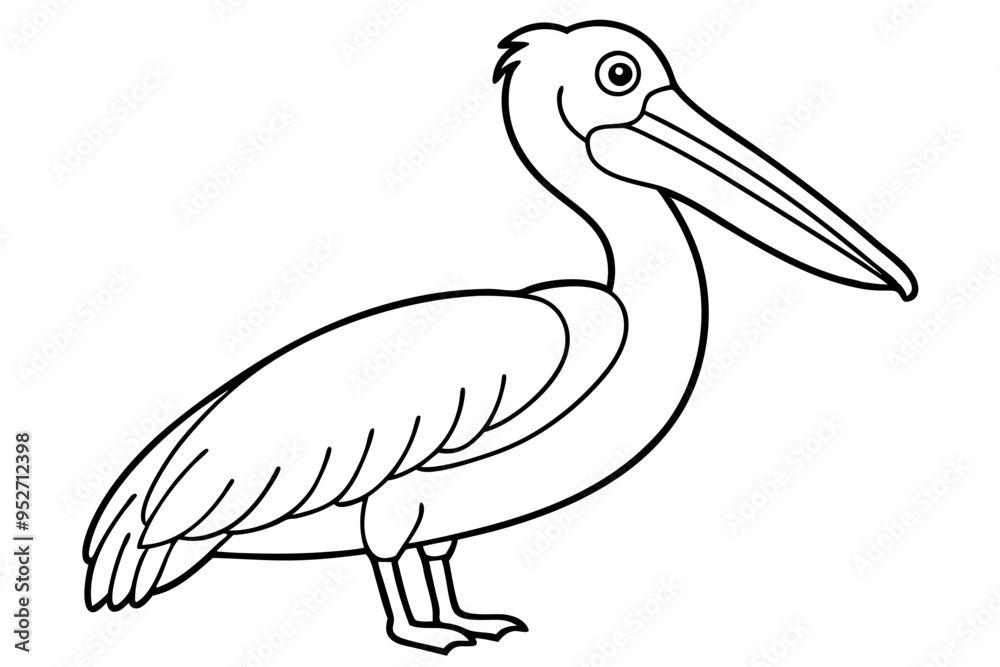 Fototapeta premium Pelican Line Art Vector Illustration