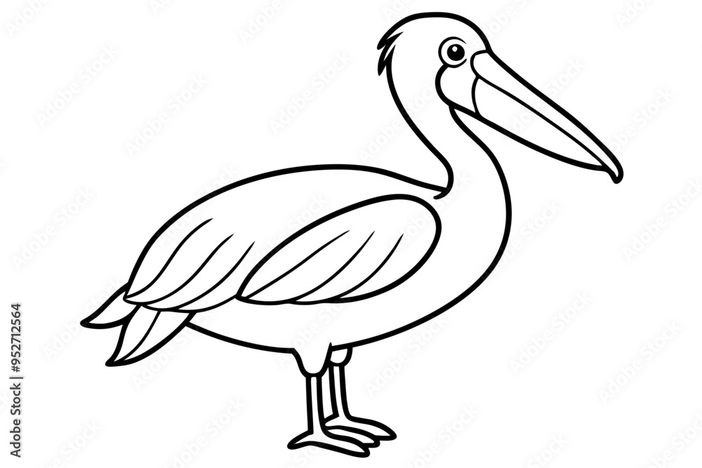 Fototapeta premium Pelican Line Art Vector Illustration