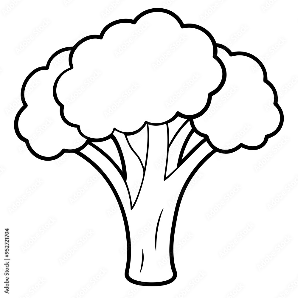 Broccoli Silhouette Vector Outline on White Background Broccoli Silhouette Vector Outline on White Background