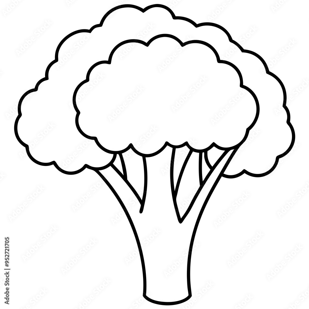Broccoli Silhouette Vector Outline on White Background Broccoli Silhouette Vector Outline on White Background