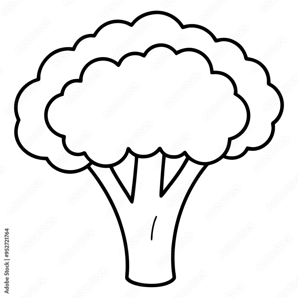 Broccoli Silhouette Vector Outline on White Background Broccoli Silhouette Vector Outline on White Background