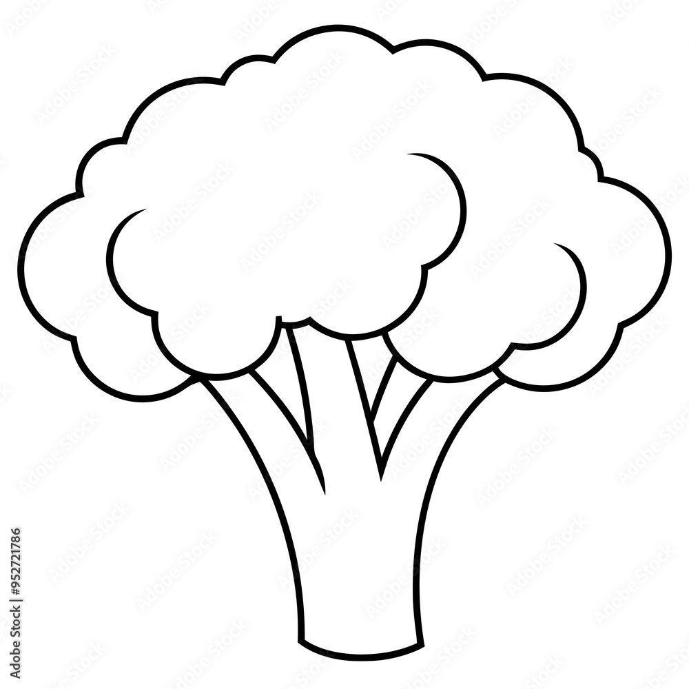 Broccoli Silhouette Vector Outline on White Background