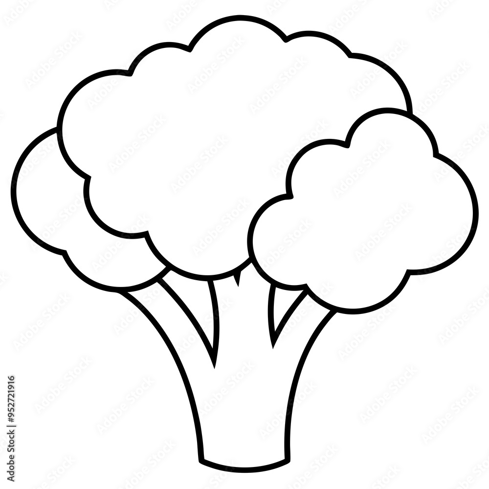 Broccoli Silhouette Vector Outline on White Background Broccoli Silhouette Vector Outline on White Background