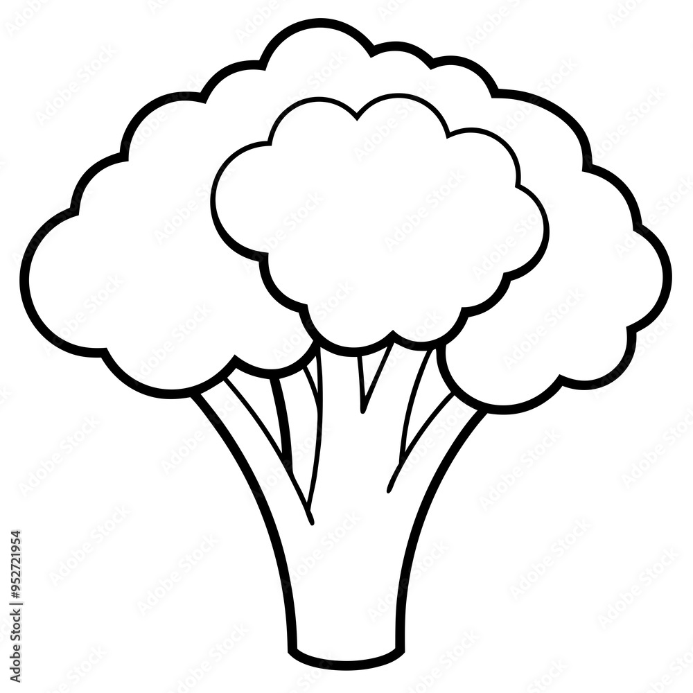 Broccoli Silhouette Vector Outline on White Background Broccoli Silhouette Vector Outline on White Background