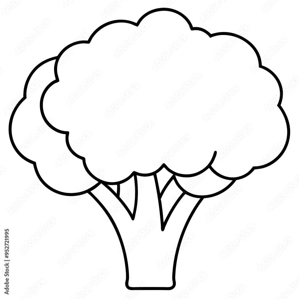 Broccoli Silhouette Vector Outline on White Background Broccoli Silhouette Vector Outline on White Background