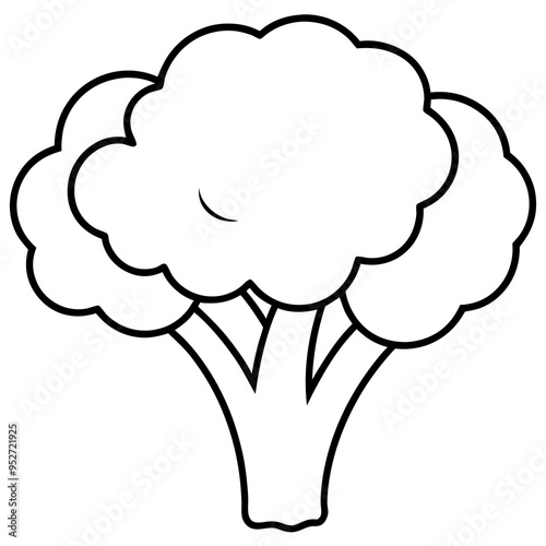 Broccoli Silhouette Vector Outline on White Background