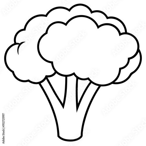 Broccoli Silhouette Vector Outline on White Background