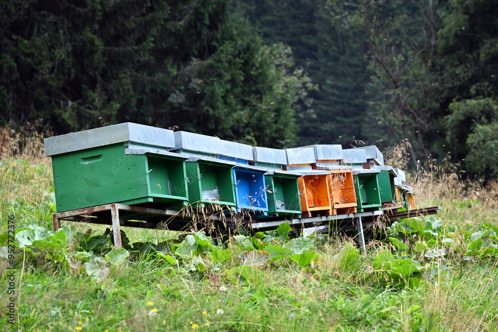 Multi-colored hives in the mountains Multi-colored hives in the mountains