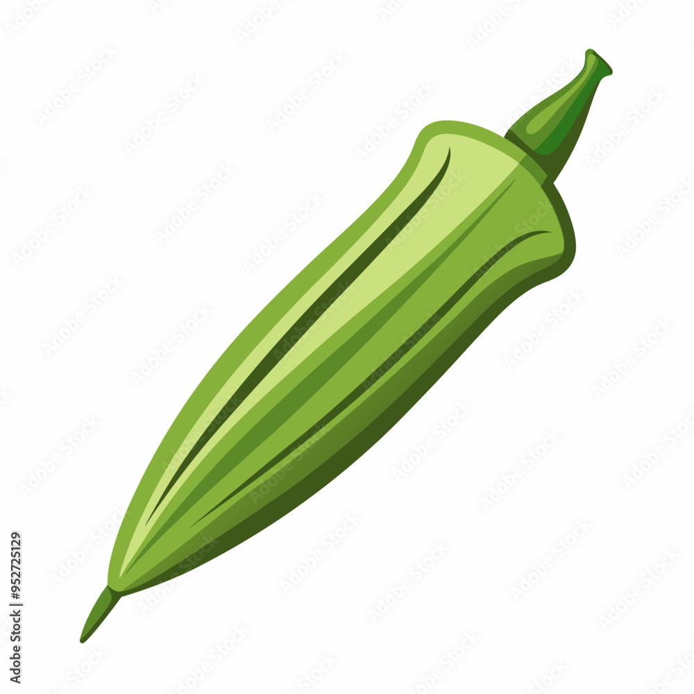 Okra Vector Illustration on White Background Okra Vector Illustration on White Background