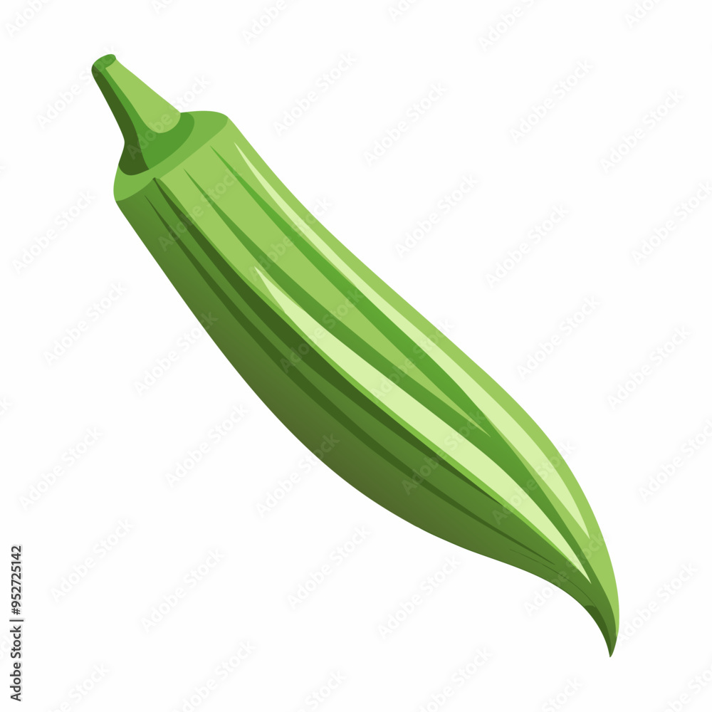 Okra Vector Illustration on White Background Okra Vector Illustration on White Background