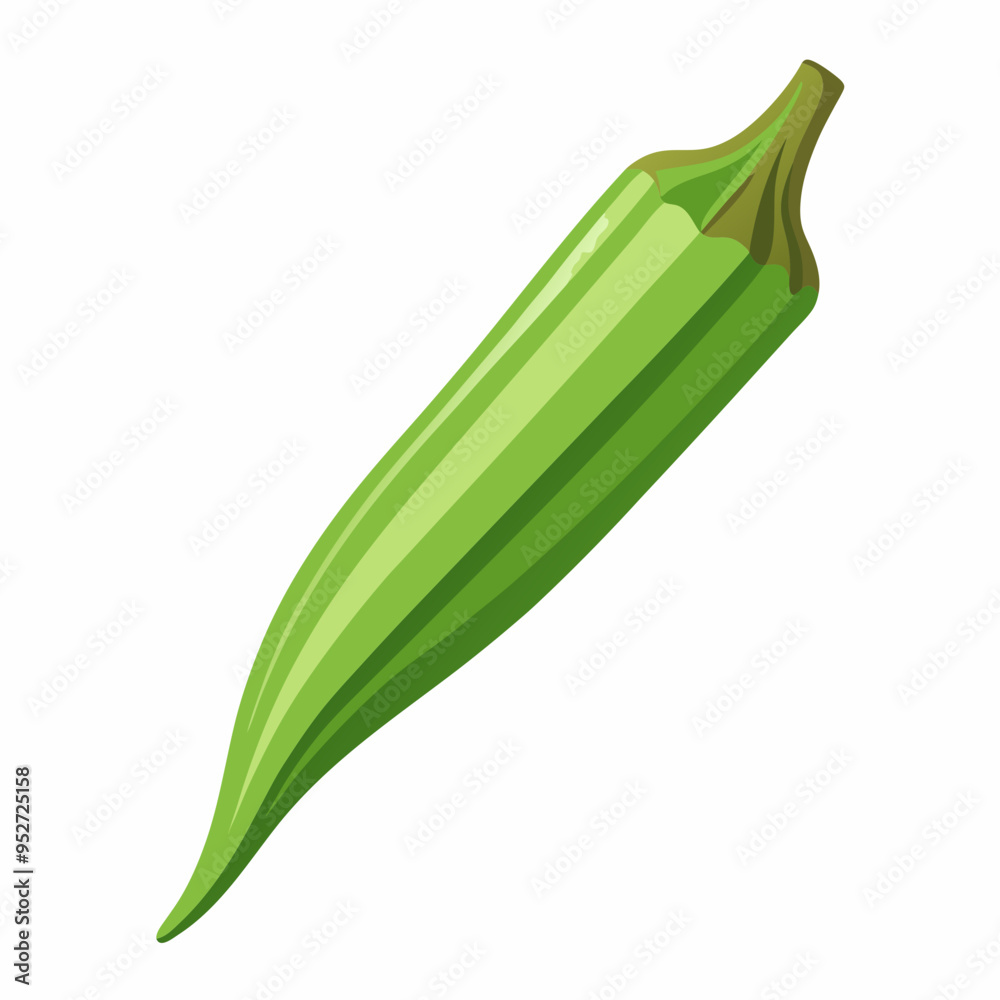 Okra Vector Illustration on White Background Okra Vector Illustration on White Background