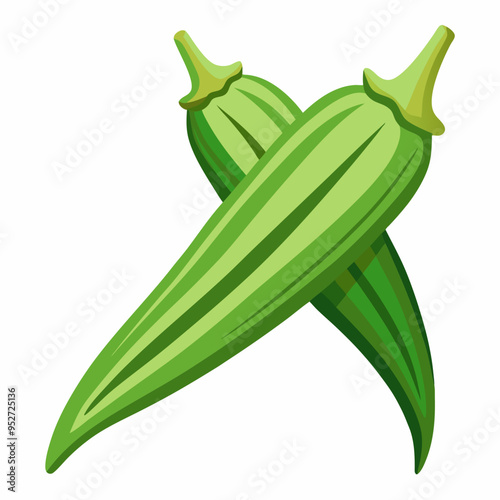 Okra Vector Illustration on White Background