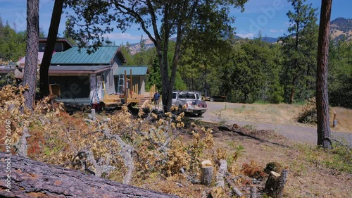 Tree Felling Cutting and Falling
