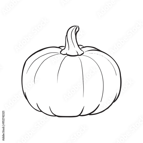 Ripe orange pumpkin isolated on white background. Cucurbita pepo. Fall harvest gourds. Healthy organic food concept. Vector vegetables illustration in flat style.