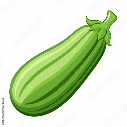 Zucchini art Vector Illustration