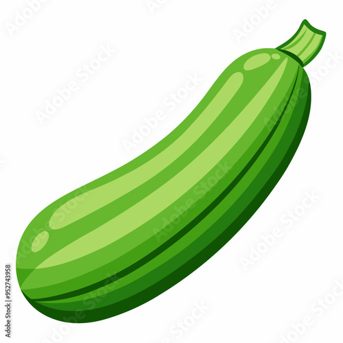 Zucchini art Vector Illustration