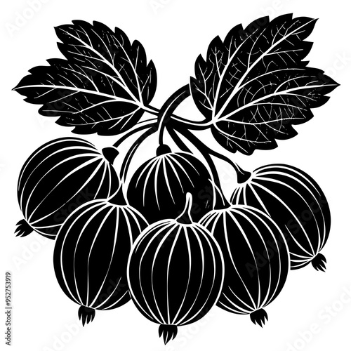 Gooseberry Fruit Silhouette Vector Illustration