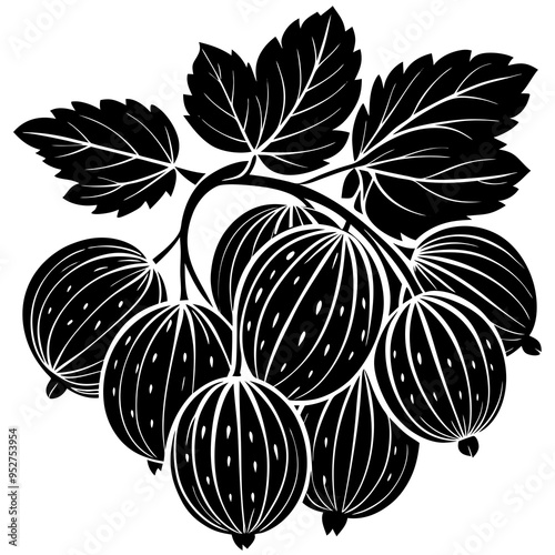 Gooseberry Fruit Silhouette Vector Illustration