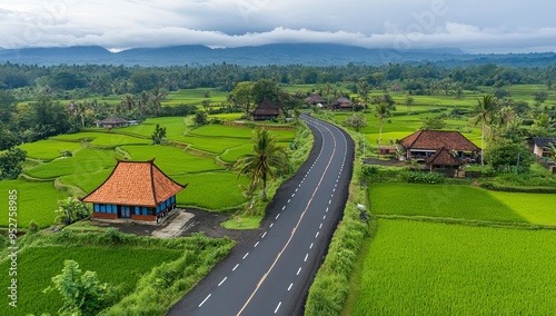 Angular aerial view of Tegalalang village in Bali with forest and rice terrace, isolated with white highlights, png photo