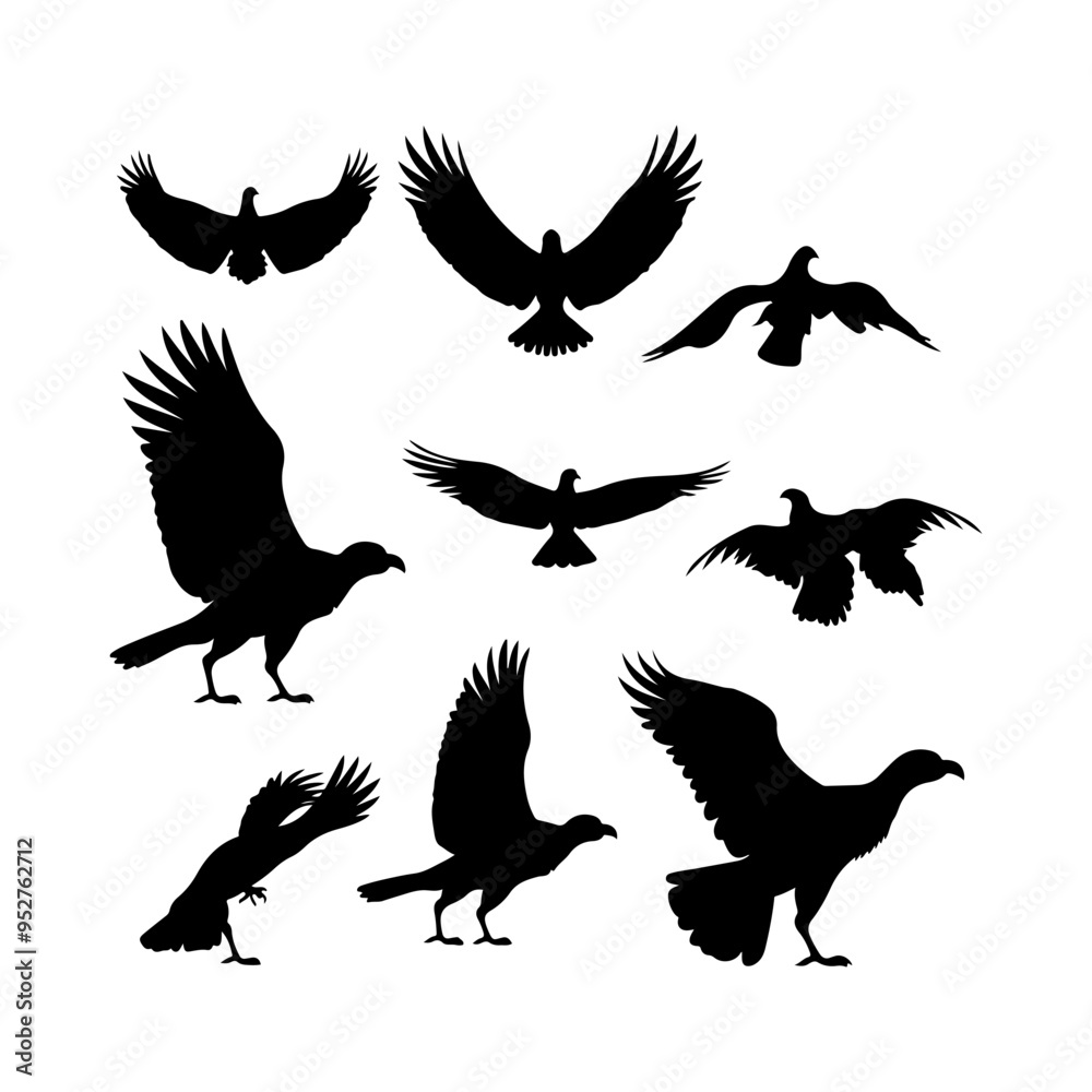Obraz premium Silhouette of a Condor vector illustration