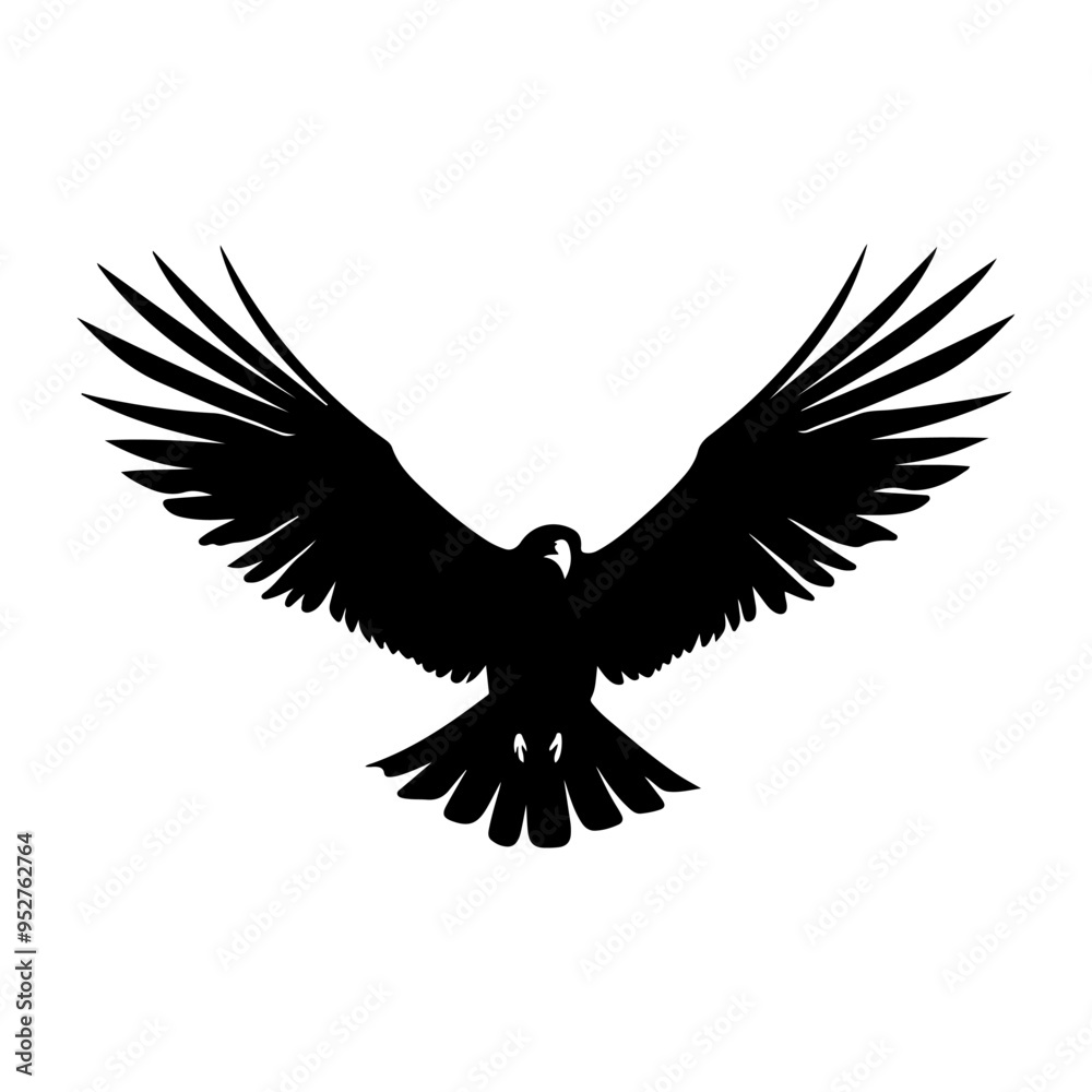 Fototapeta premium Silhouette of a Condor vector illustration