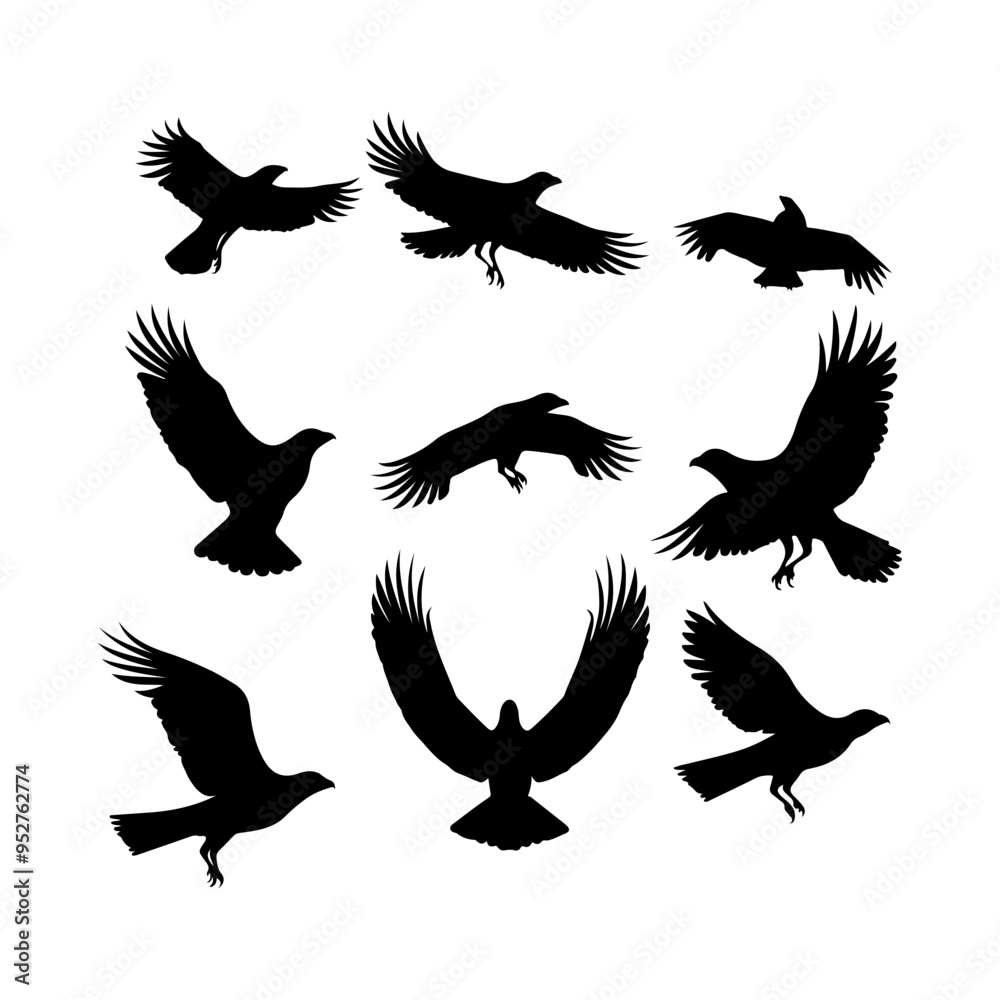 Obraz premium Silhouette of a Condor vector illustration