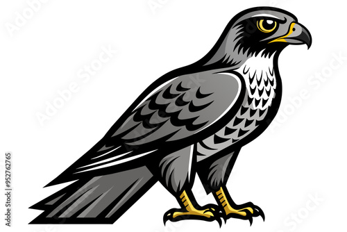 solid black outline cooper hawk animal vector art illustration