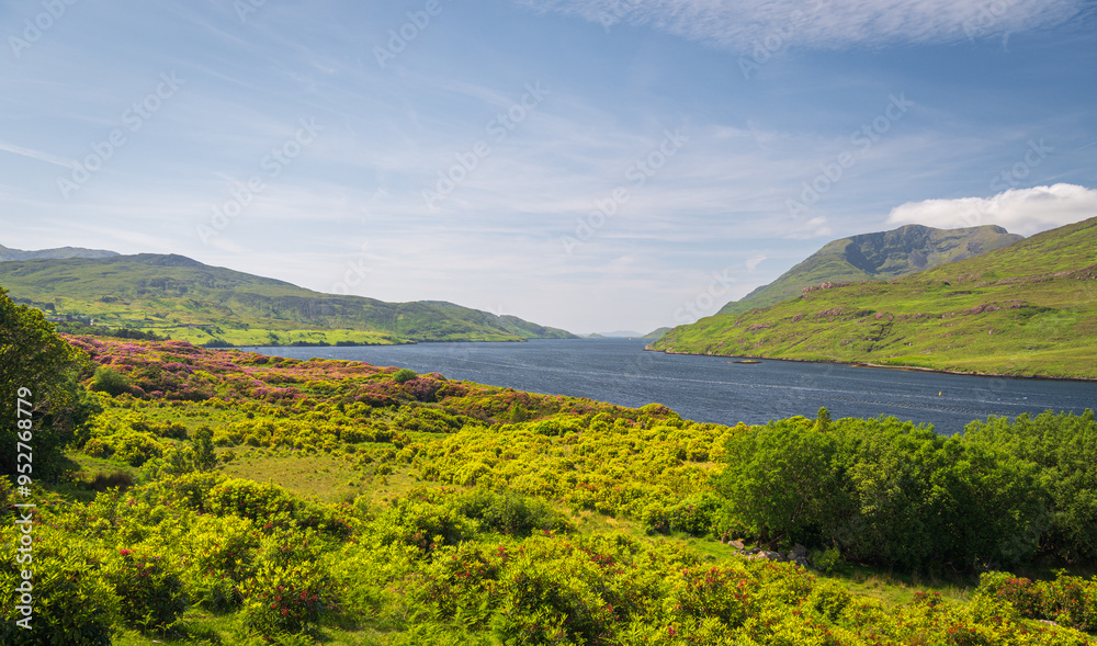 Obraz premium Panoramic views in Connemara National Park. County Galway, Ireland.