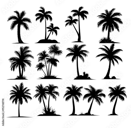 palm or coconut trees vector collection eps.  concept of holiday, nature, relaxation, peace, luxury, elegance, tour etc. vector design element. 