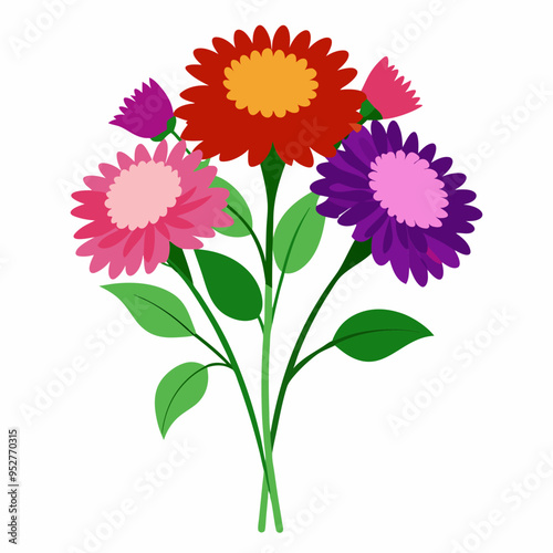 Aster Flowers Four-Color Vector Design on White Background