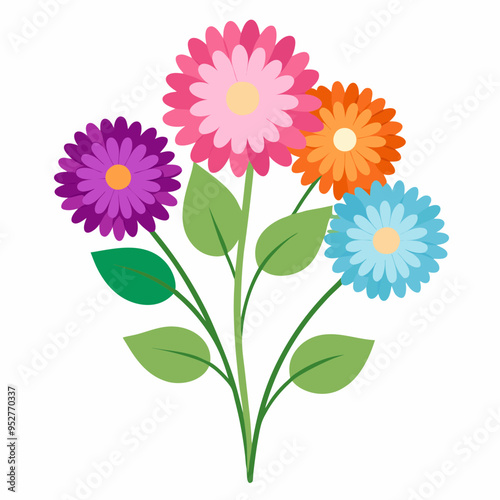 Aster Flowers Four-Color Vector Design on White Background