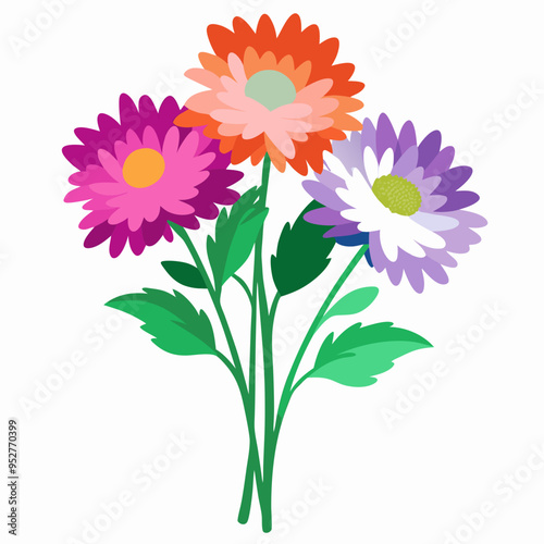 Aster Flowers Four-Color Vector Design on White Background