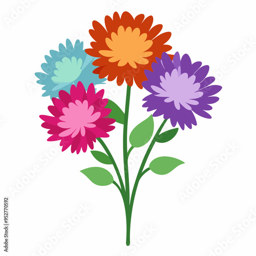 Aster Flowers Four-Color Vector Design on White Background