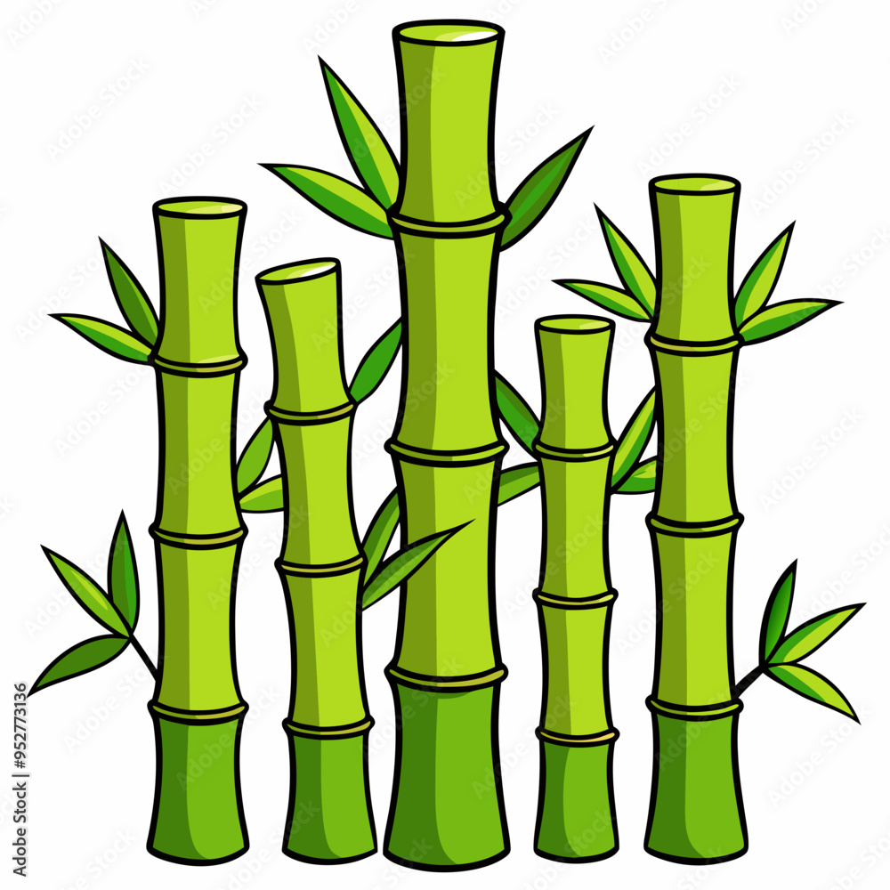 Fototapeta premium Bamboo Vector Art on White Background