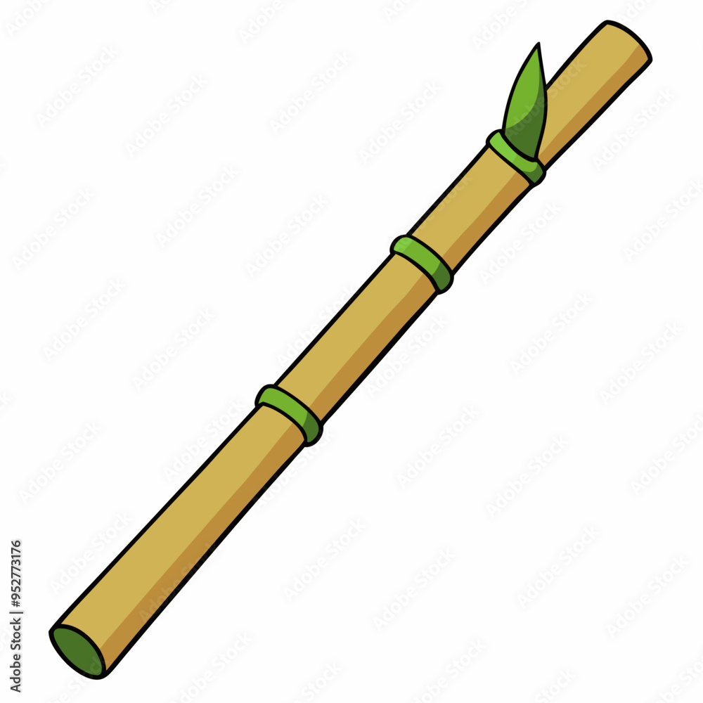 Fototapeta premium Bamboo Vector Art on White Background