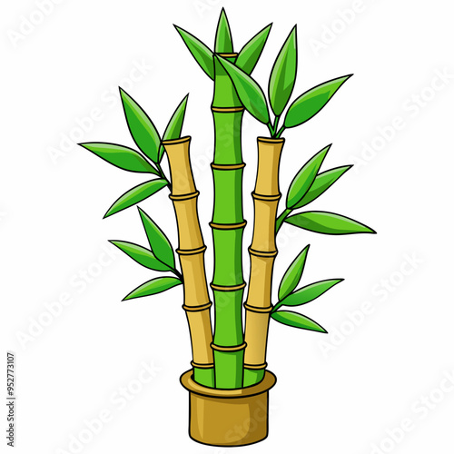 Bamboo Vector Art on White Background