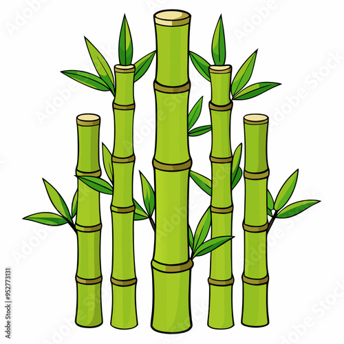 Bamboo Vector Art on White Background