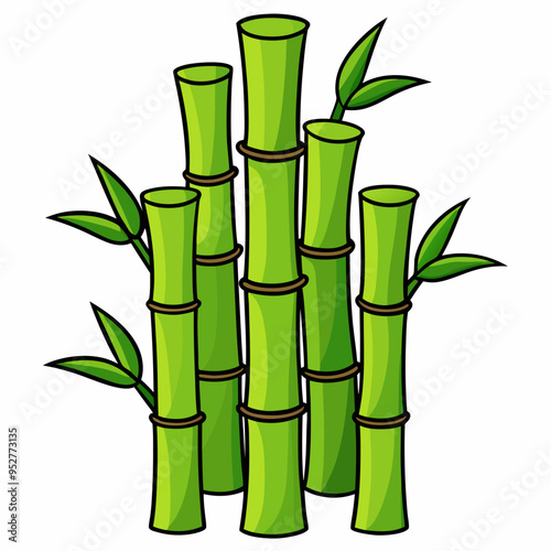 Bamboo Vector Art on White Background